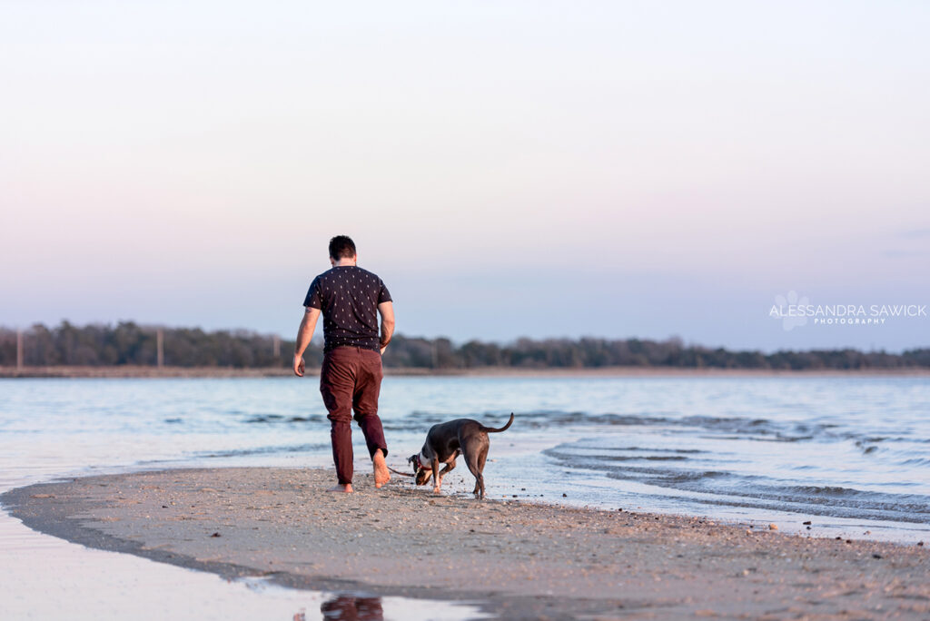 Best Pet Photographer in Naples FL