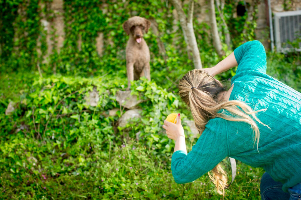 Best Naples Pet Photographer