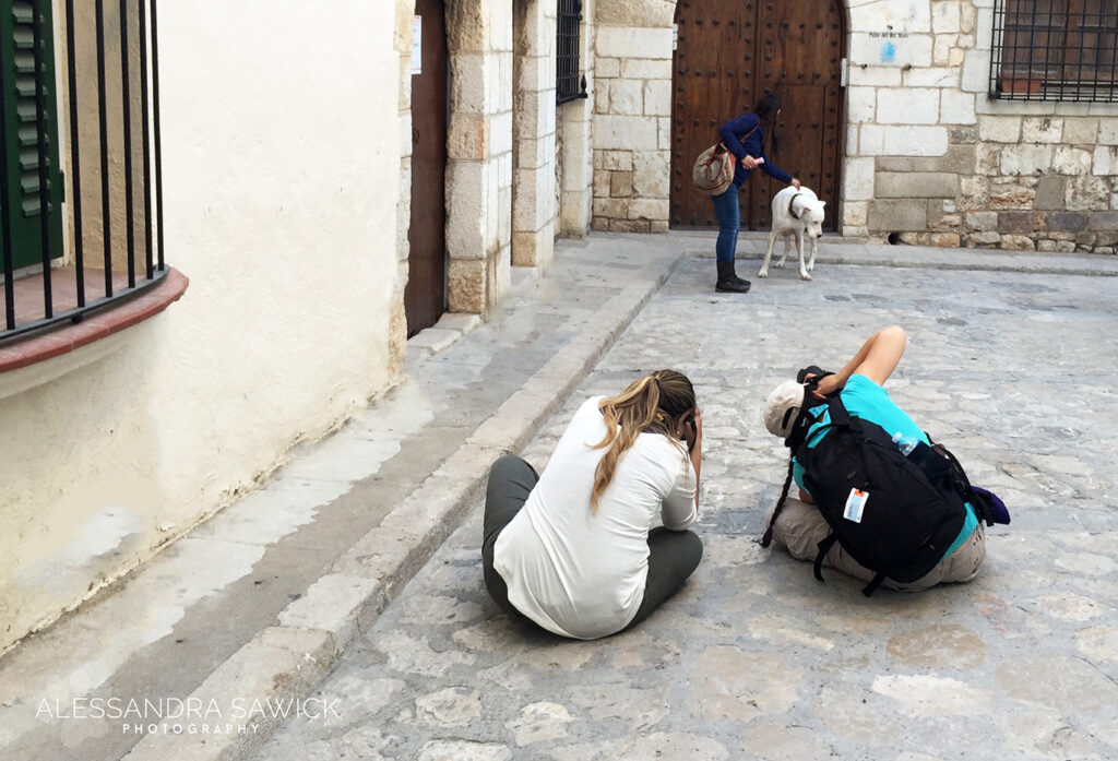 Best Naples Pet Photographer