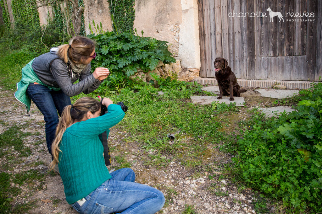 Best Naples Pet Photographer