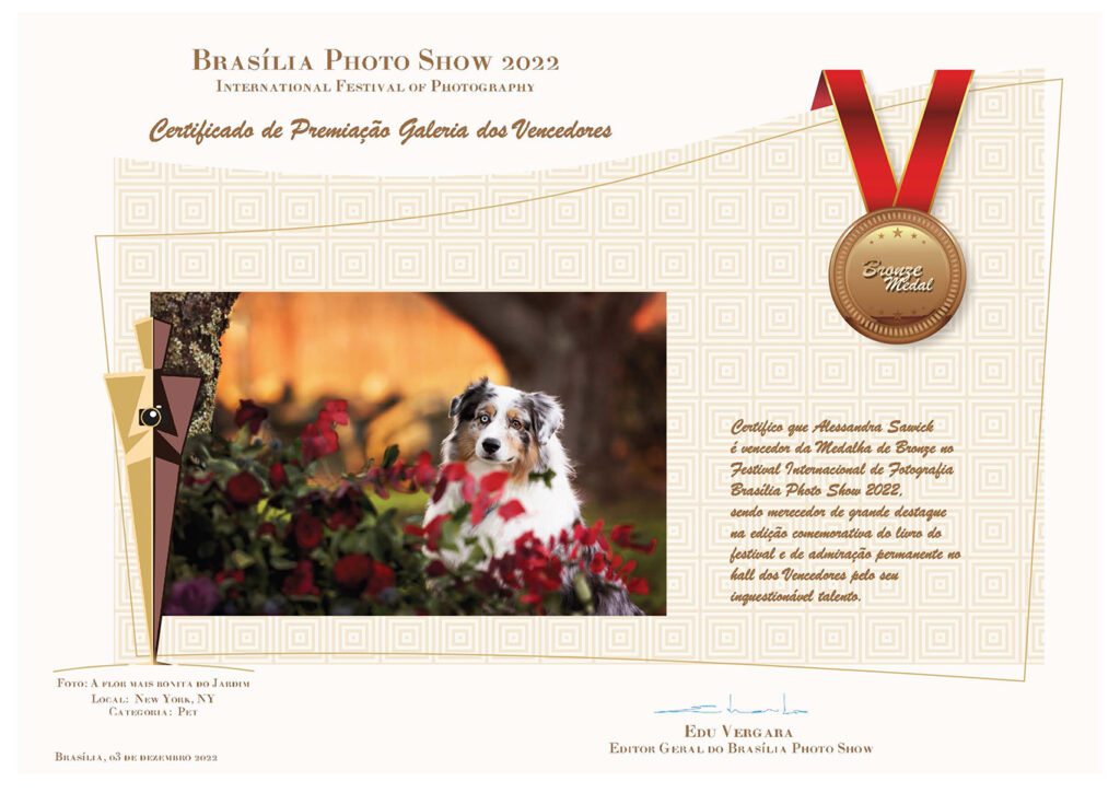 Dog Photographer near me Dog Photographer near Naples, FL
