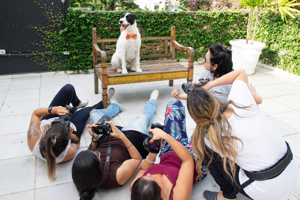 Workshop Pet Photography Workshop Pet Photography by Alessandra Sawick