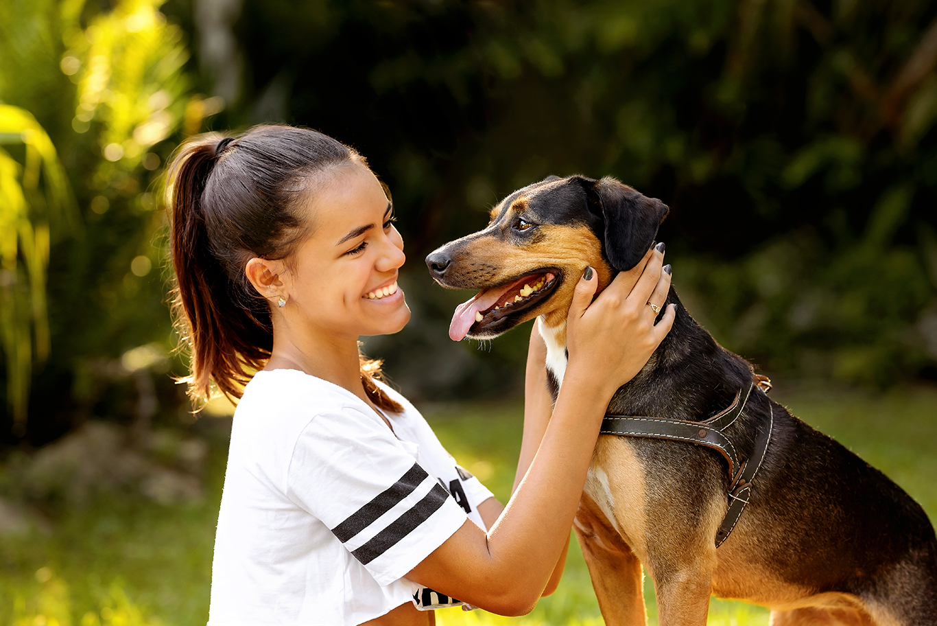 Workshop Pet Photography on B&H Workshop Pet Photography on B&H