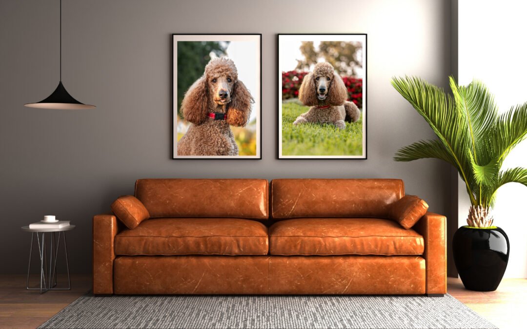 Transforme Seu Amor Pelo Seu Pet em Arte Personalizada